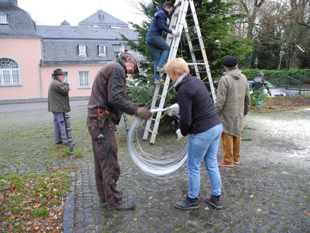 Aufstellung des Weihnachtsbaums auf dem Remi-Baert-Platz 2015