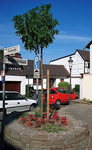 nachher