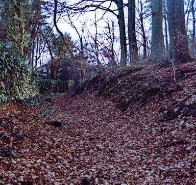 Alter Hohlweg vom Heiderhof nach Muffendorf, genannt die 'Steinrütsch' (2001)