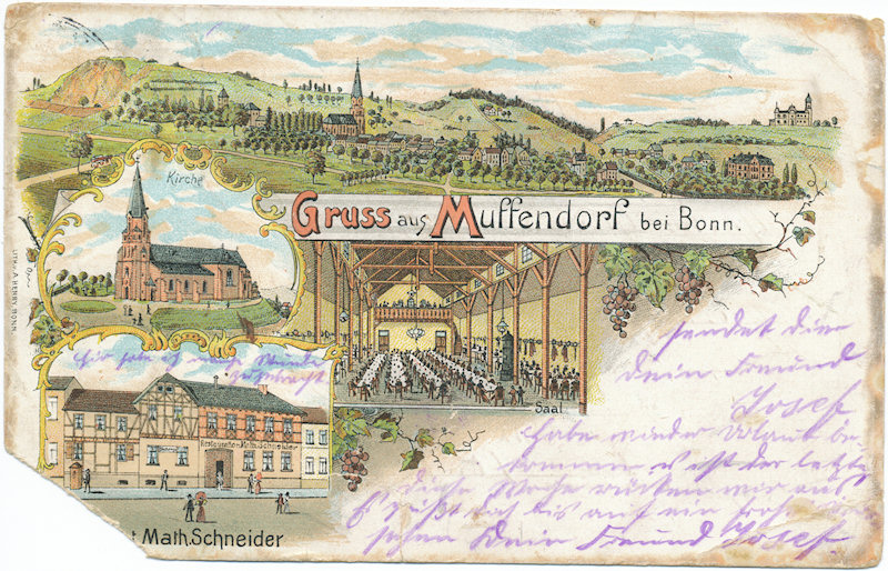 Muffendorf-Panorama vom Lyngsberg bis zur Stella Rheni