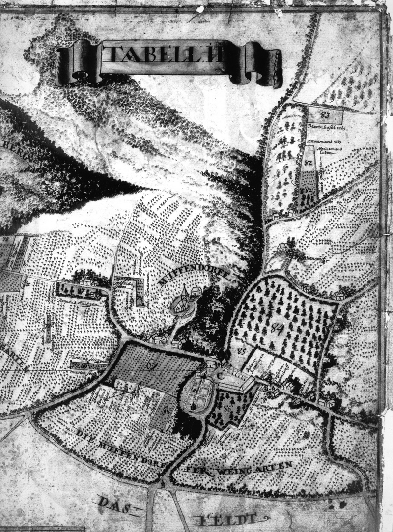 Ausschnitt aus der „Tabell II“, die die Ländereien von der Kommende nach Süden zum Lyngsberg hin zeigt. Die Gebäude sind genauer dargestellt eben so wie die Anliegergrundstücke. Hier das betreffende Stück schon richtigerweise bezeichnet mit „Johann Schwingen“.